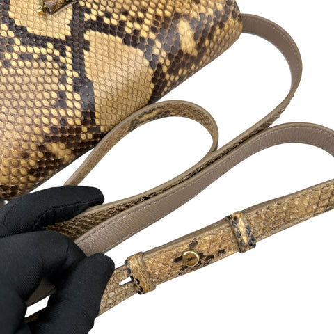 Saint Laurent Python crossbody Bag