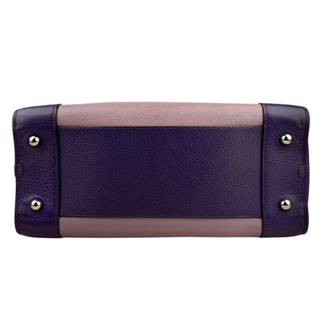 LOEWE Purple Tricolor Goatskin Amazona 36 Pink Handbags