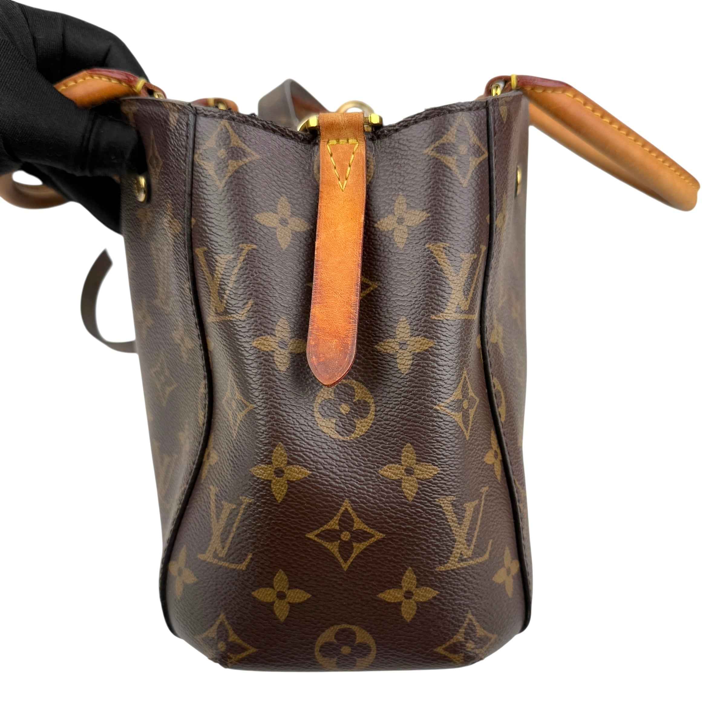 Louis Vuitton Monogram Canvas Montaigne Bag