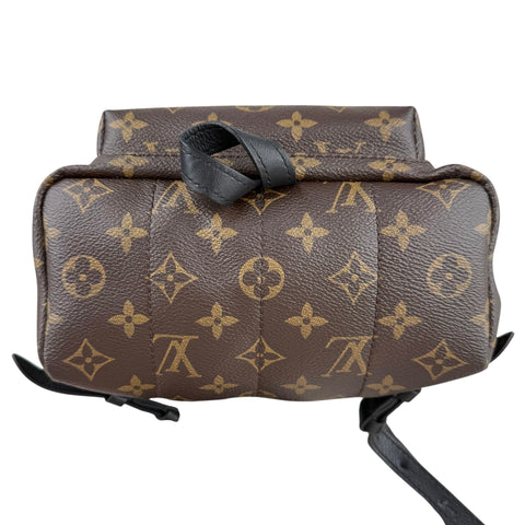 Louis Vuitton Palm Springs Backpack MM Brown Canvas