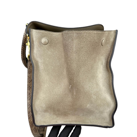 Celine Trapeze large model handbag in beige leather and beige suede