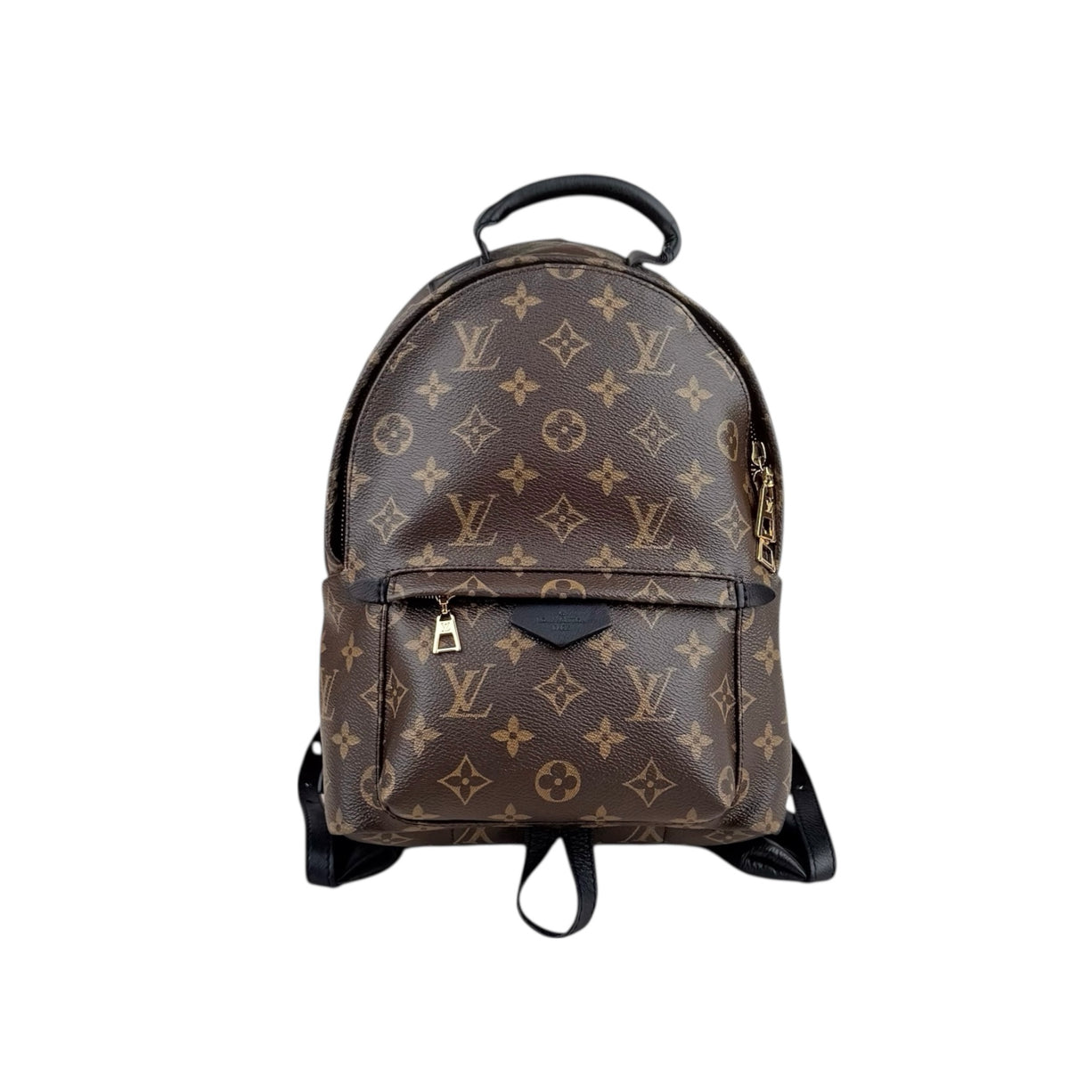 Louis Vuitton Palm Springs Backpack MM Brown Canvas