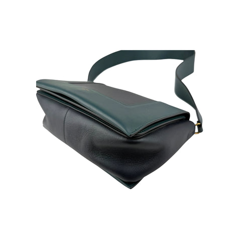 Celine Medium Shiny Smooth Calfskin Frame shoulder bag