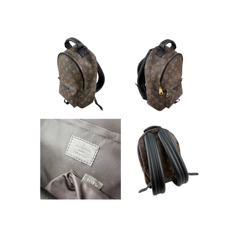 Louis Vuitton Monogram Canvas Palm Springs PM Backpack Bag